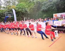 关于奥地利队坚持不懈期望在接下来的比赛中重塑形象的信息