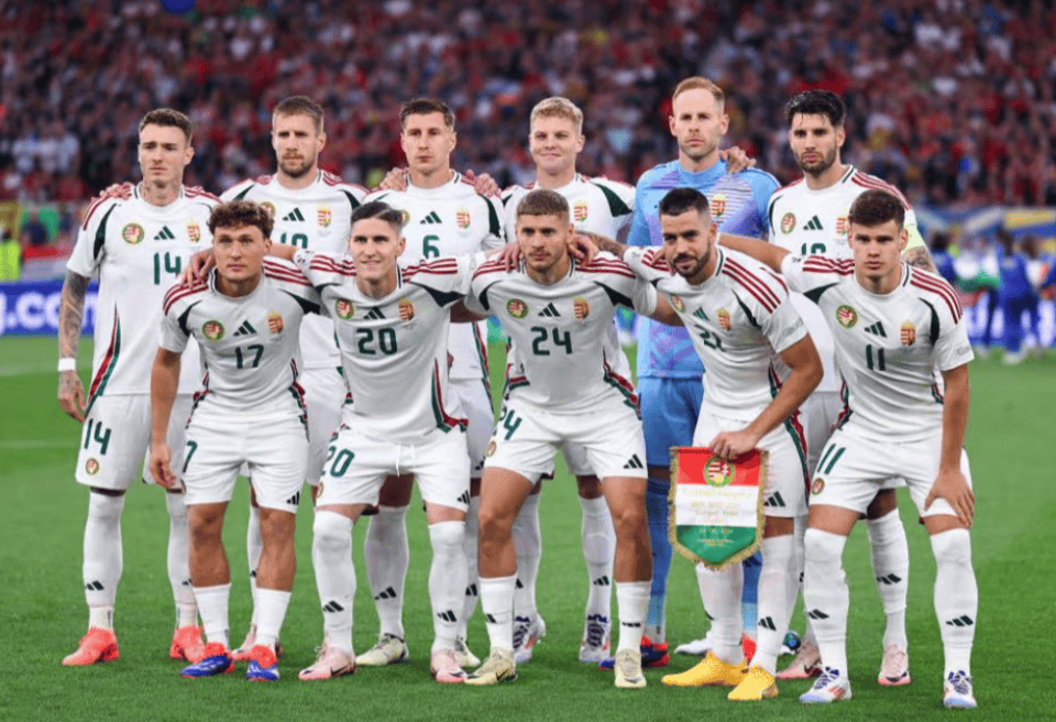 关于匈牙利主场逼平波兰，出线形势仍存希望的信息