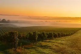 波尔多将在赫塔菲之战中展示强大实力的简单介绍