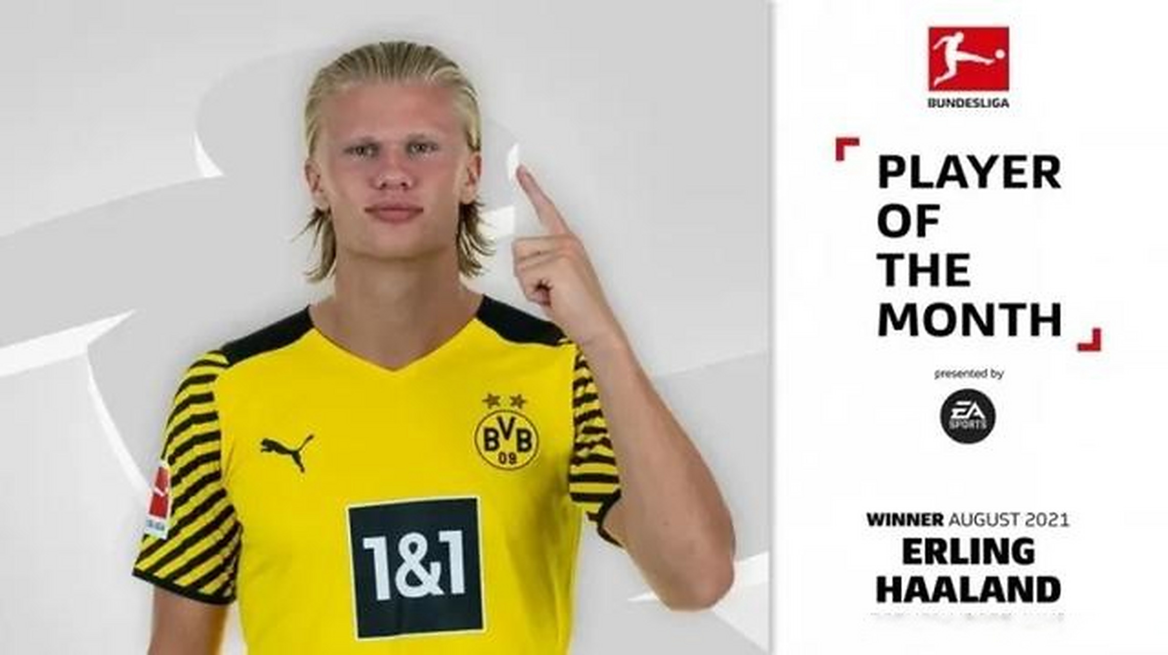 关于德甲｜哈兰德夺冠，赛后采访的信息