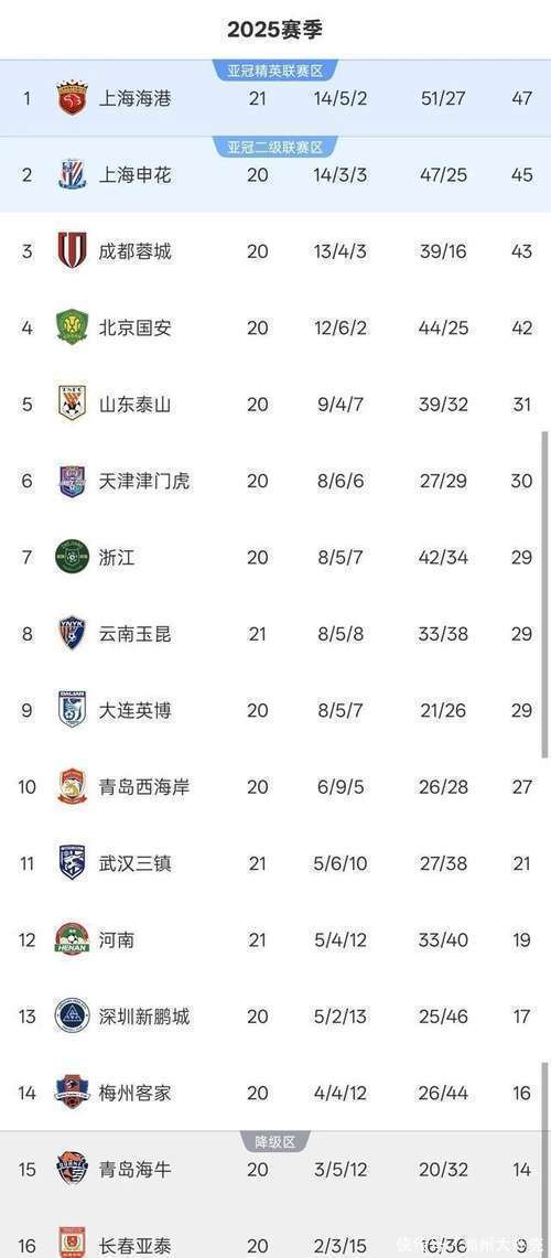 上港领先积分榜，球队整体实力强劲