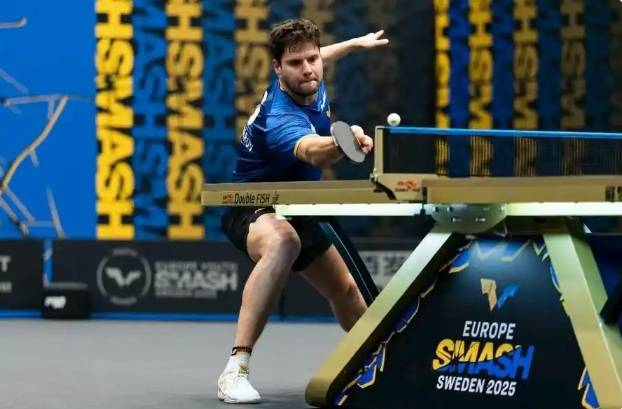 关于瑞典乒乓球队绝杀奥地利乒乓球队，奥恰洛夫高光表现的信息