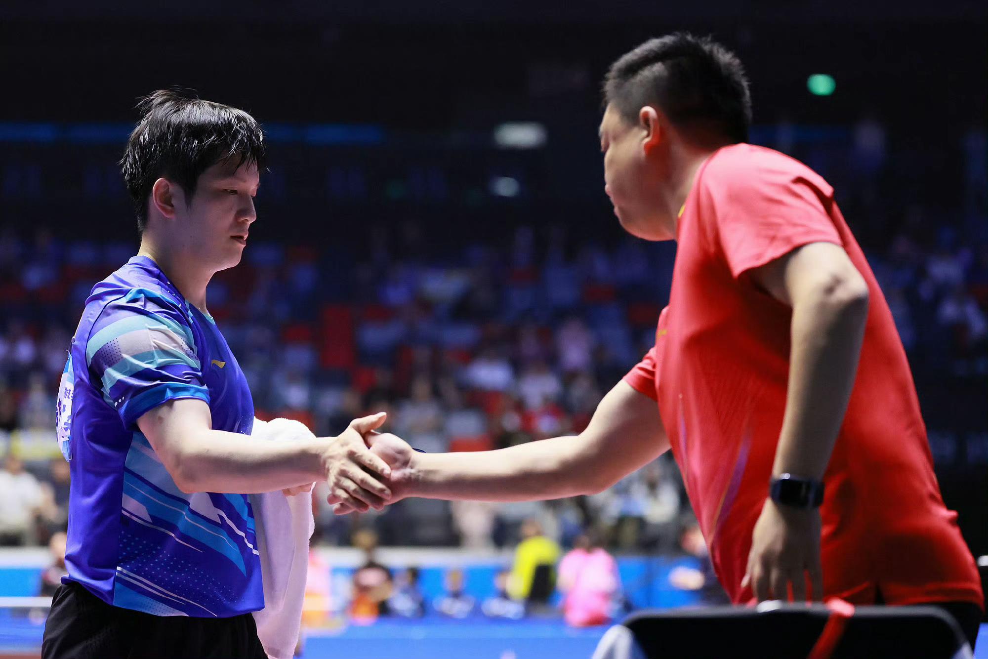 世俱杯决赛-瑞典队翻盘奥地利队，樊振东关键制胜