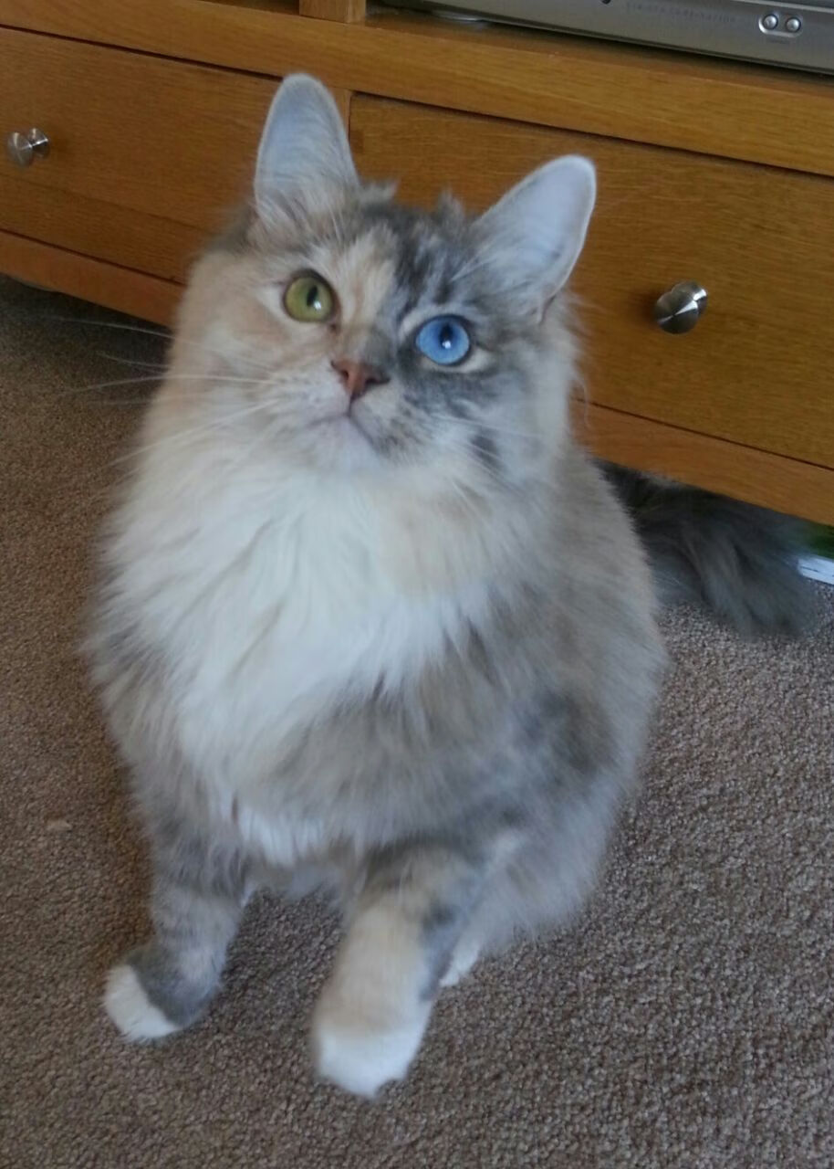 冰封到烈焰，乔治在嘘声中重铸费城脊梁