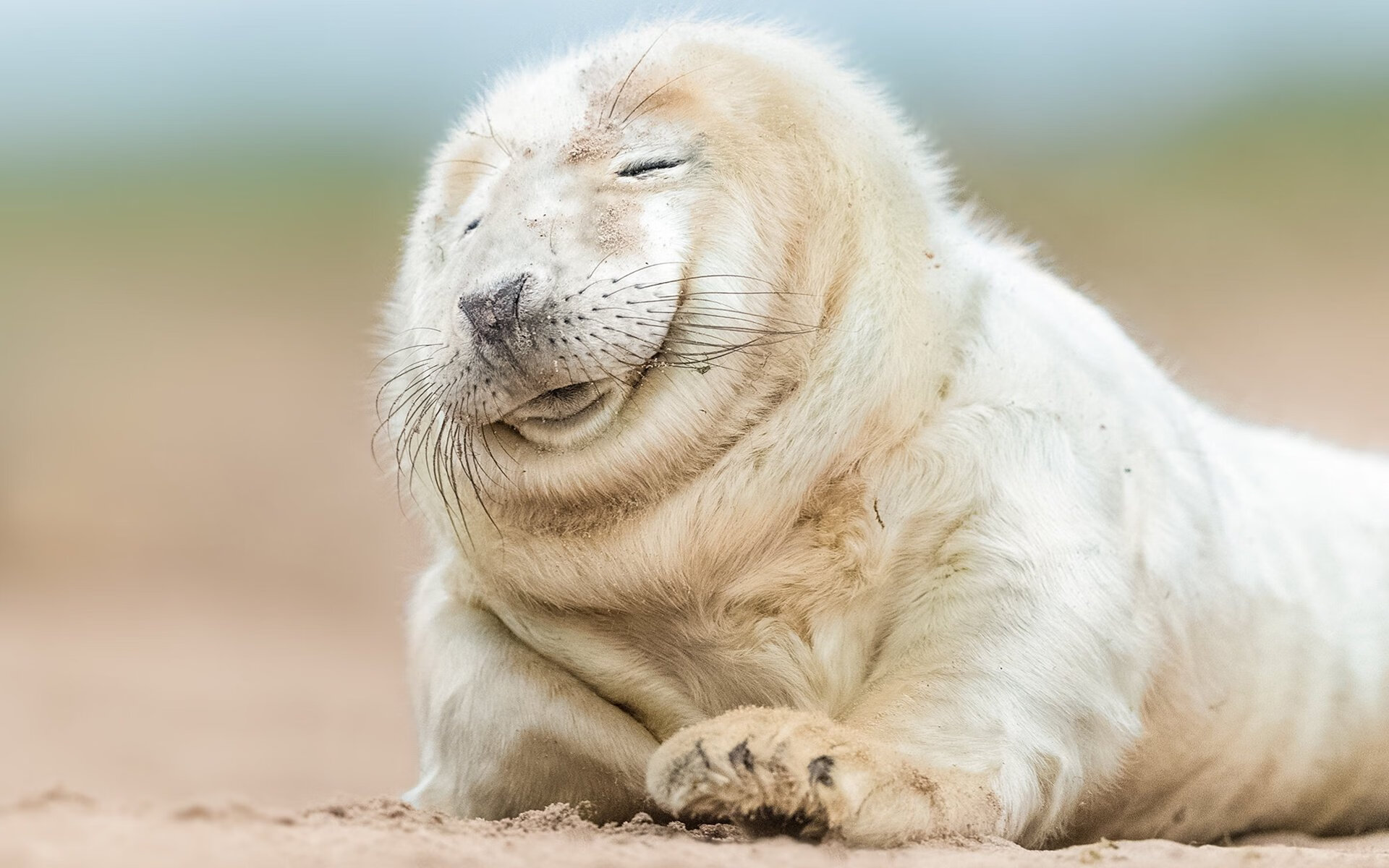 双线激情夜，意甲焦点战烽火连天，深圳队生死战力克步行者