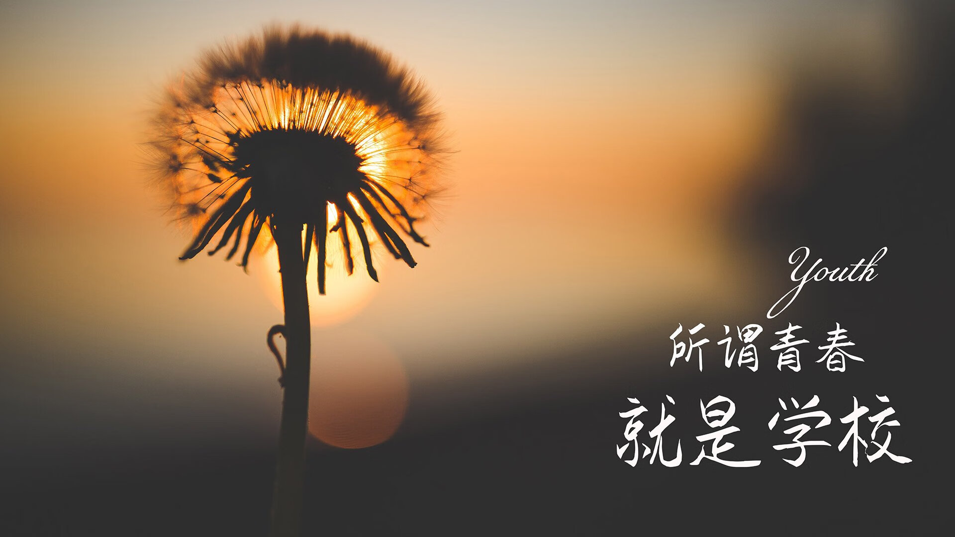 中场节拍器戈麦斯，挪威斩落丹麦的北欧德比之战