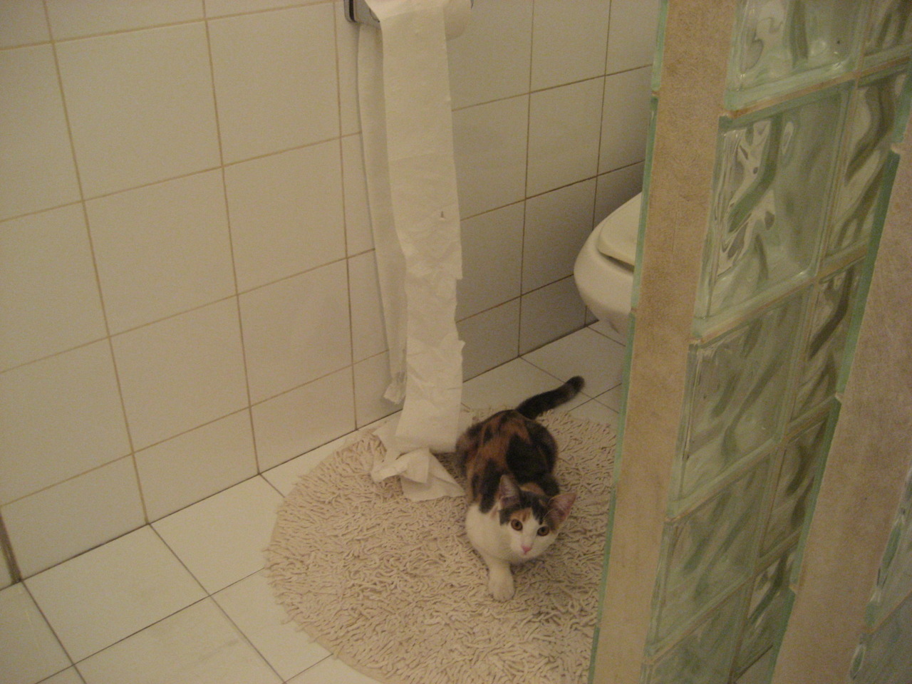 埃及对阵莱比锡红牛，欧冠关键战的战术博弈京多安关键战不手软，德国中场大师主导比赛走向