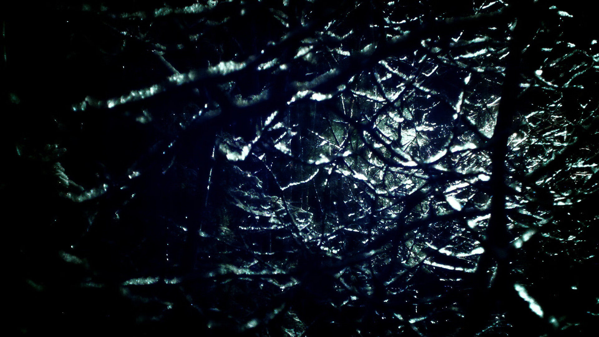 西甲国家德比激战正酣，篮网强势晋级迎浙江队挑战，体育世界的双星闪耀