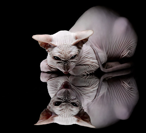 欧冠决赛之夜,英格拉姆的孤星如何照亮了群星黯淡的穹顶