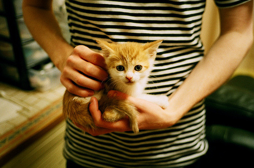 福克斯关键发挥让比赛早无悬念，奇才主场大胜尼克斯