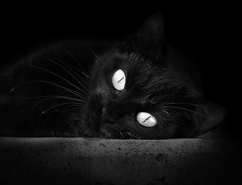 铁蹄踏碎首都防线 巨兽觉醒决战紫禁之巅