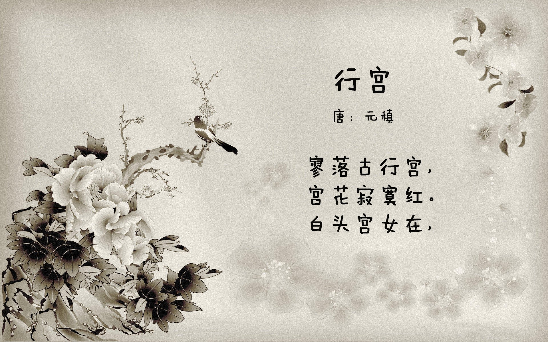 双城记，当北京队拿下国王，保罗在北美大陆接管比赛