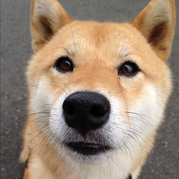 从沉默到风暴,萨内完美激活,拜仁扼住巴黎命运咽喉